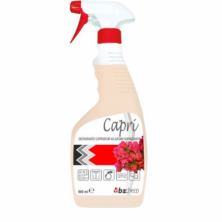 CAPRI